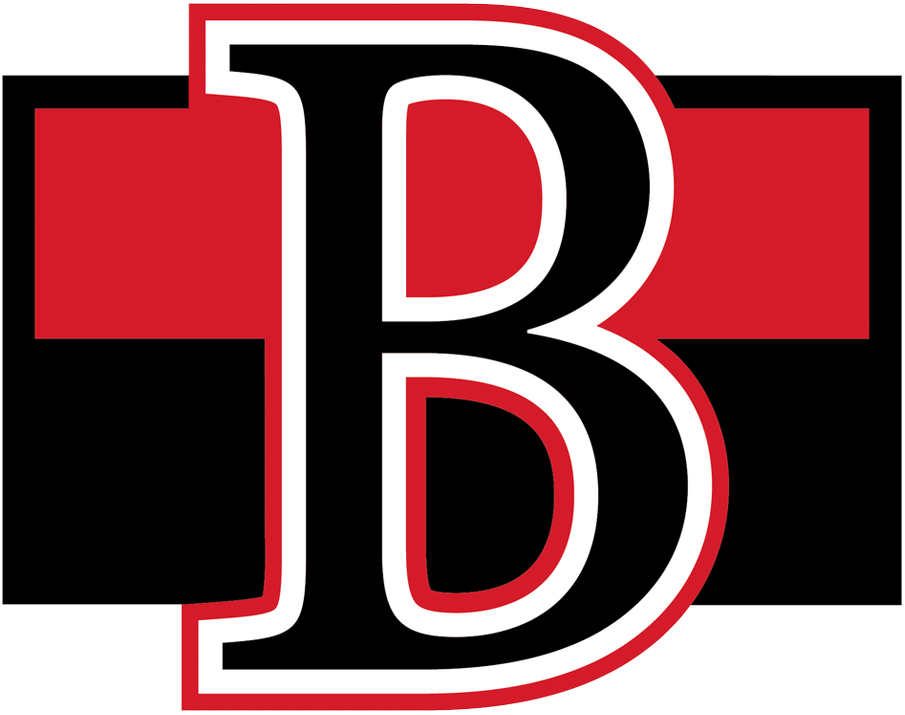 Belleville Senators 2017-Pres Primary Logo iron on transfers for clothing